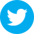 icon Twitter